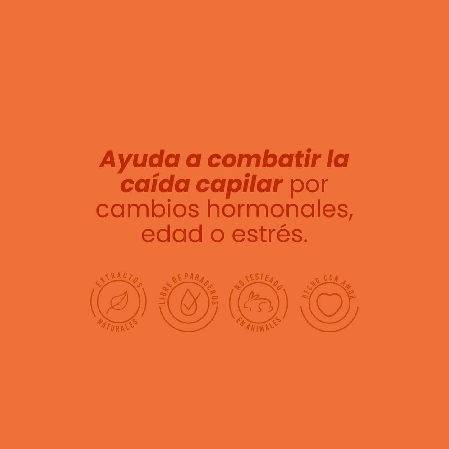 Shampoo Con Ginseng - Anyeluz