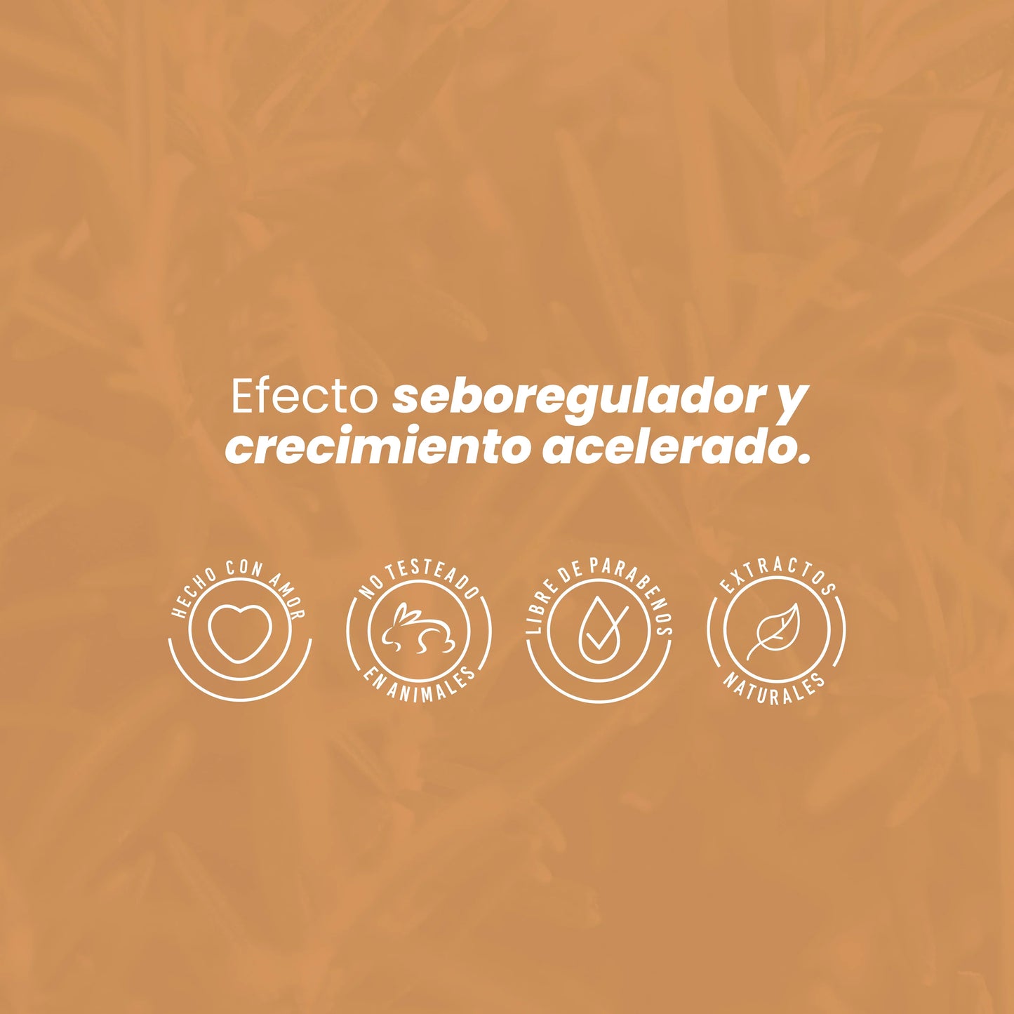 Potencializador De Romero 110mL - Anyeluz