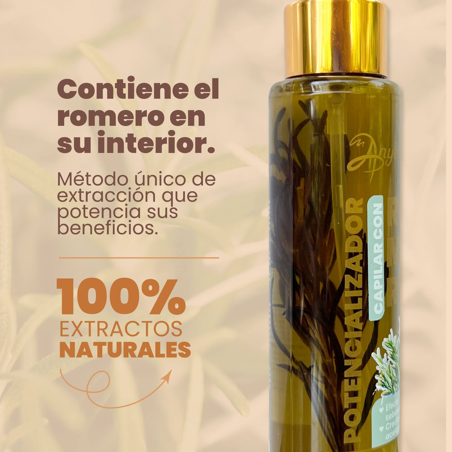 Potencializador De Romero 110mL - Anyeluz