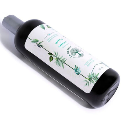 Shampoo de Argán Para Cabello Seco 500 ML - La Receta