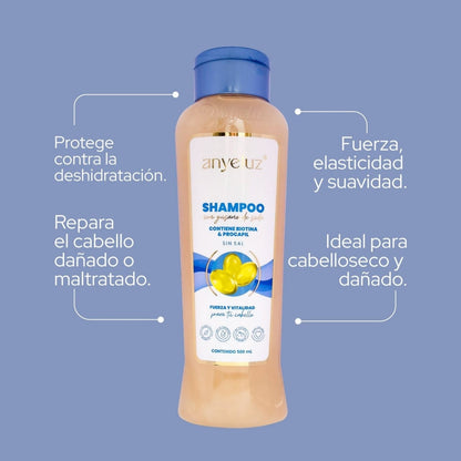 Kit Cabello Seco - Anyeluz