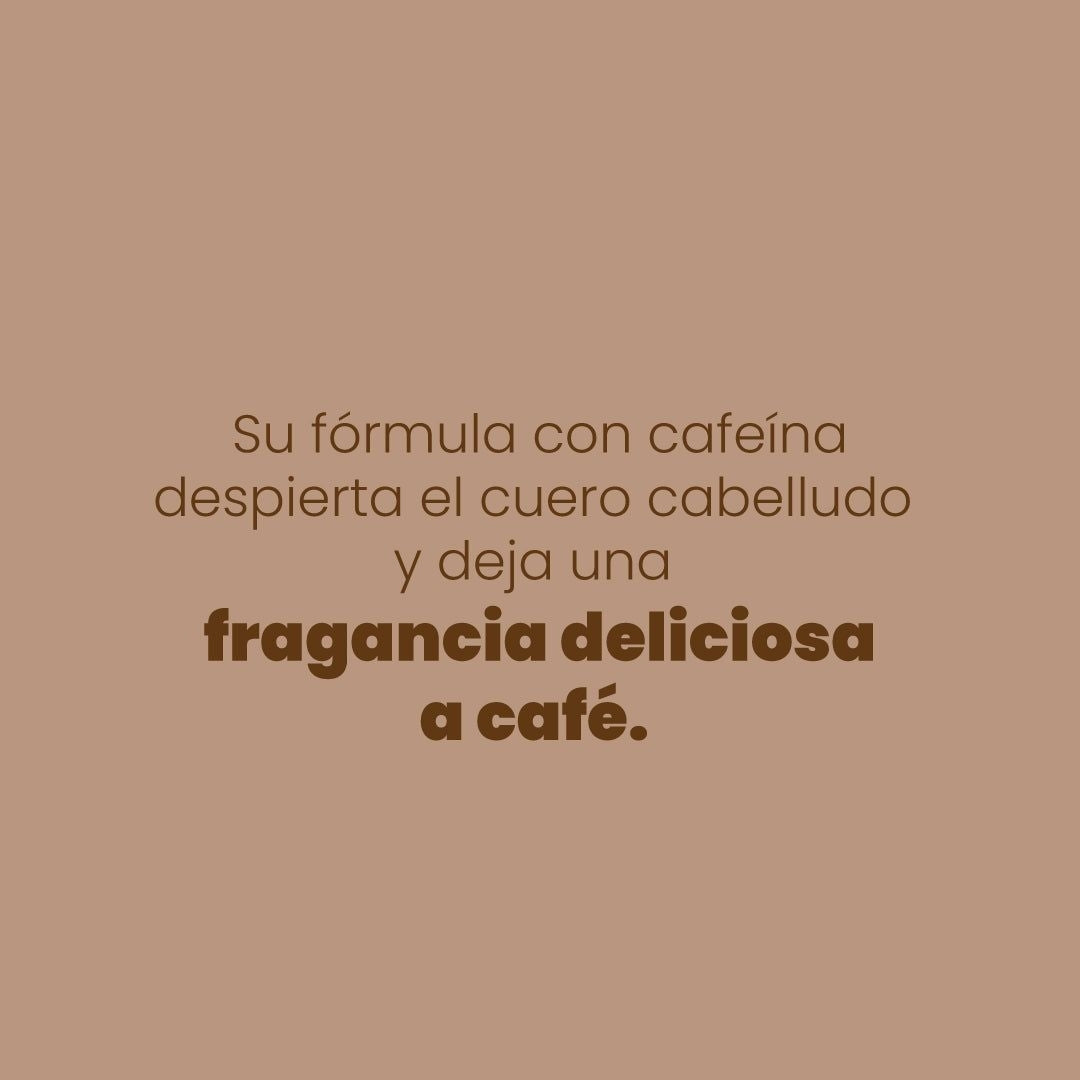 Shampoo con Café - Anyeluz