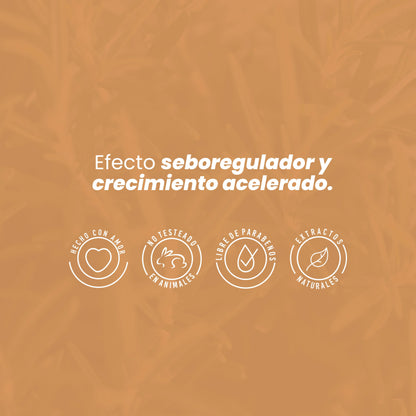 Potencializador De Romero 110mL - Anyeluz