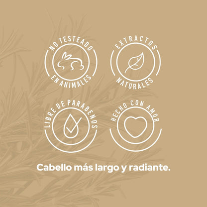 Shampoo Con Romero - Anyeluz